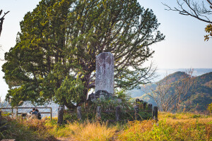 Hayama-Hiking_web_2